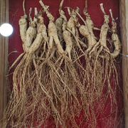 ☜得劲，苏服☞