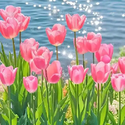 ☜佛说我很牛☞的头像