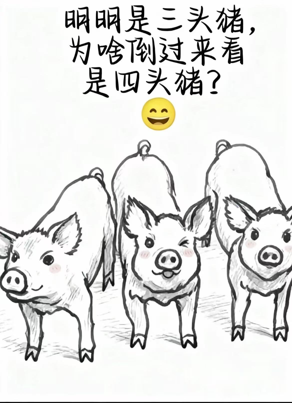 Hellobaby！主播图片