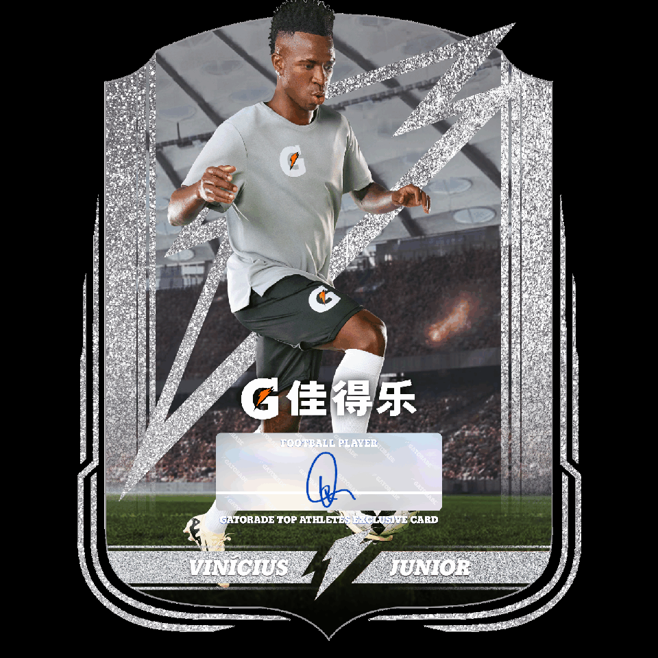 萌新宝宝216海报