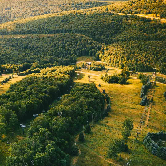 山海妖市白鬼👻夜行海报