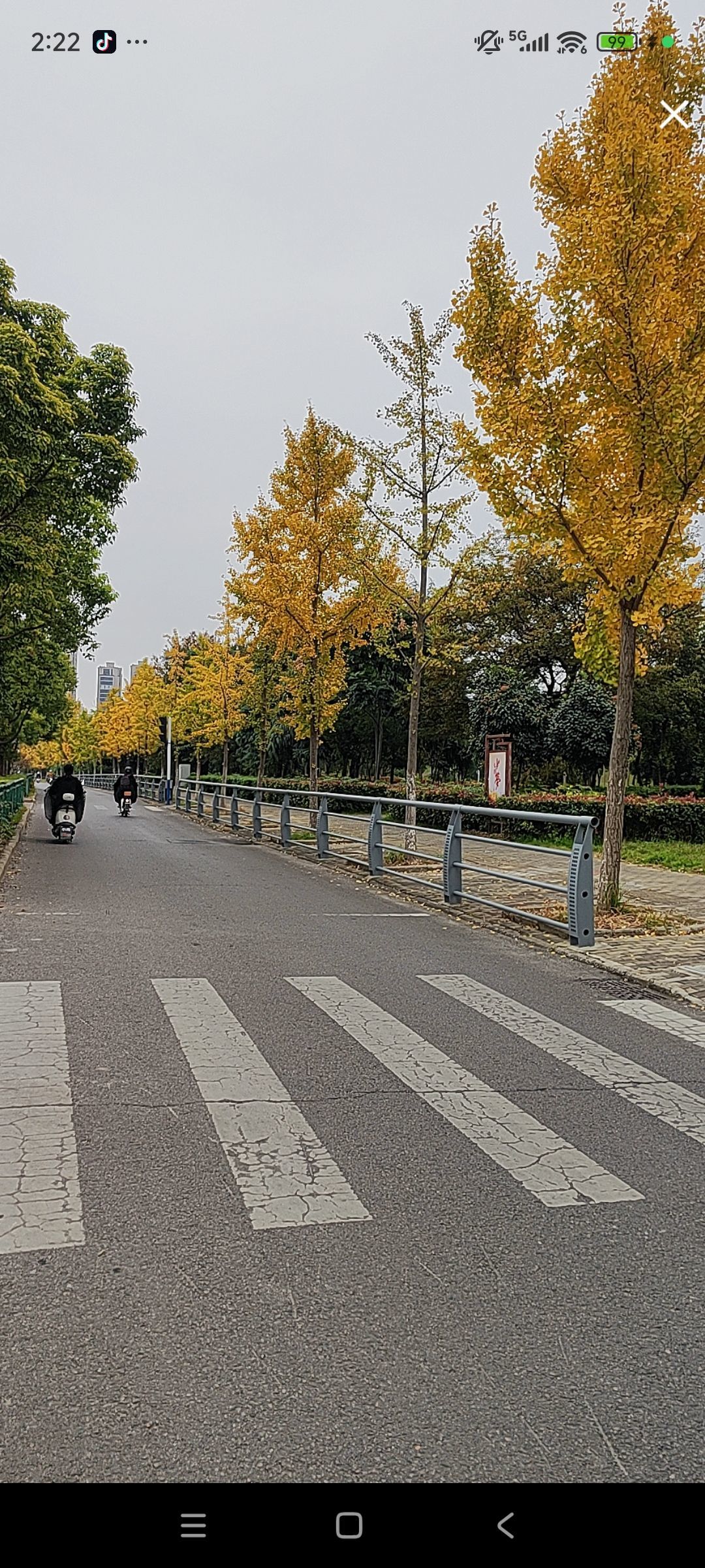 婷婷💕感恩有你陪伴主播图片