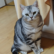 🇨🇳巛💘飝揚