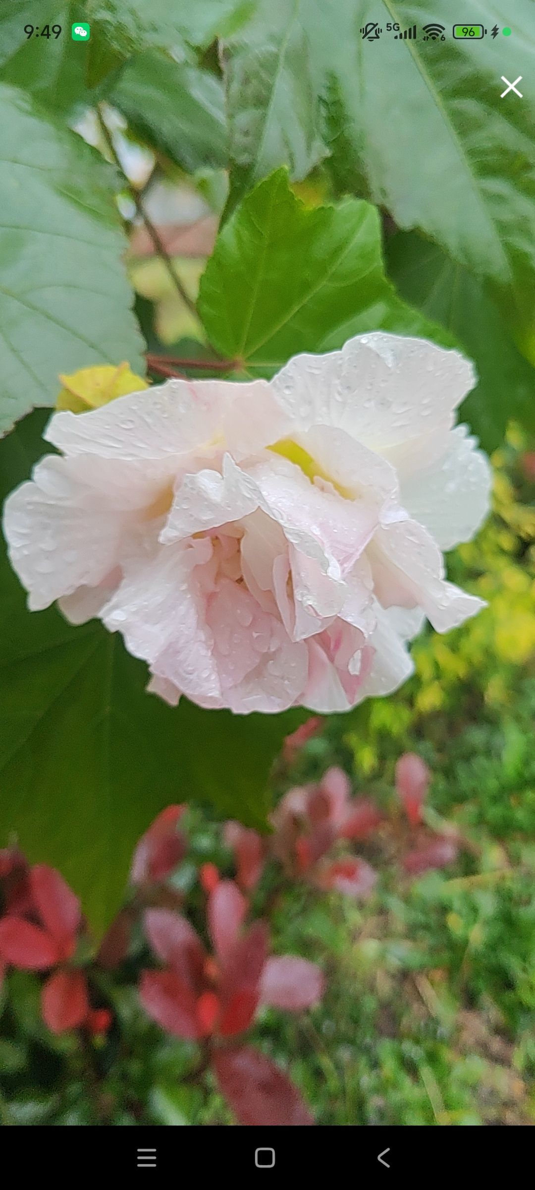 婷婷💕感恩有你陪伴主播图片