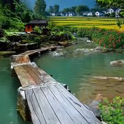 小桥流水别人家的头像