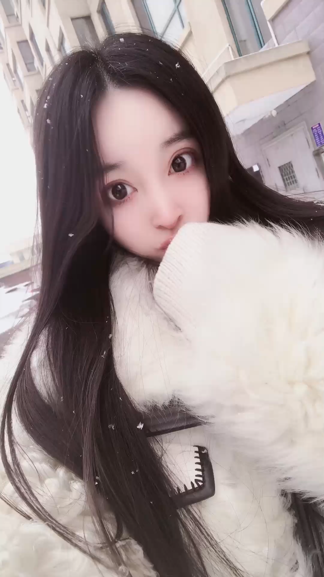 喜欢胜过所有道理，万