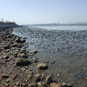 ❤️老男孩❤️海报