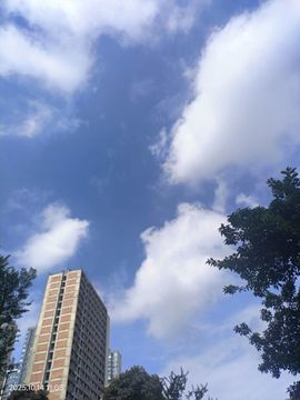 你的昵称已被占用。的图片