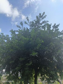 你的昵称已被占用。的图片