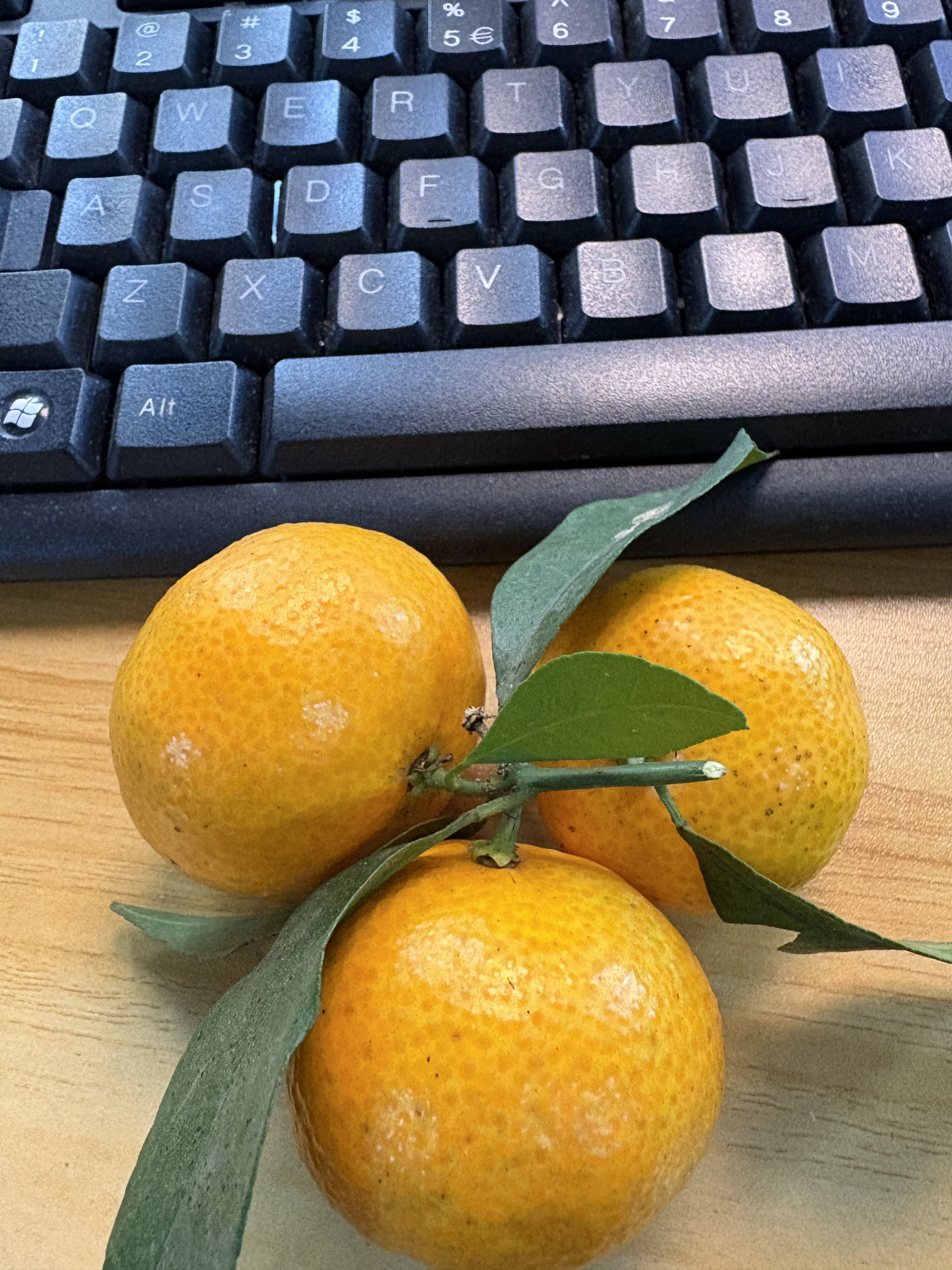 🍀艺玲🦄22休主播图片