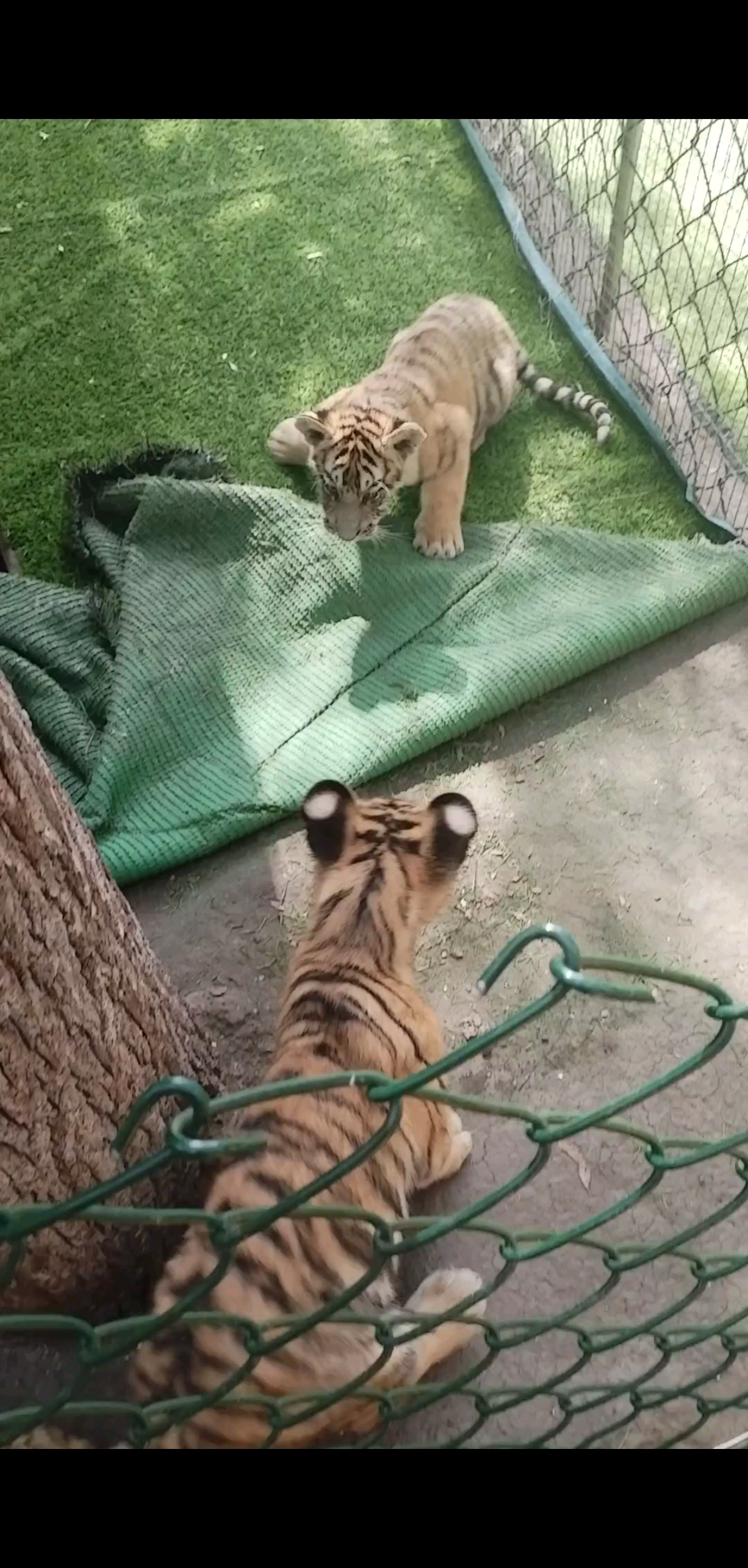 总以为时间很慢，可转