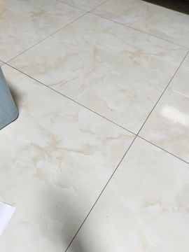 桃子🍑游园中的图片