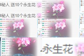 晏晏～求一道光✨的图片