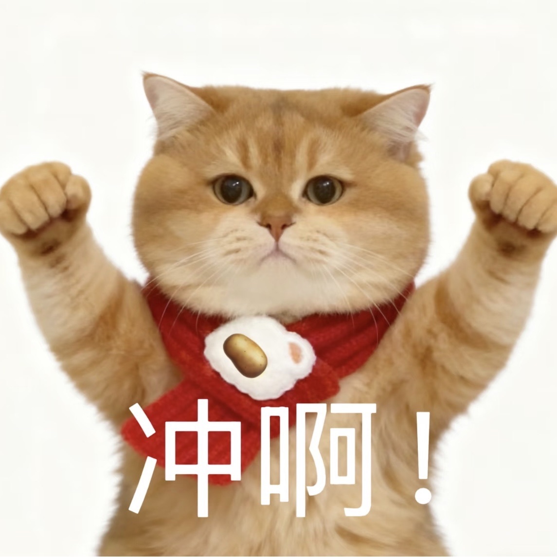 一心爱唱歌🌟主播图片