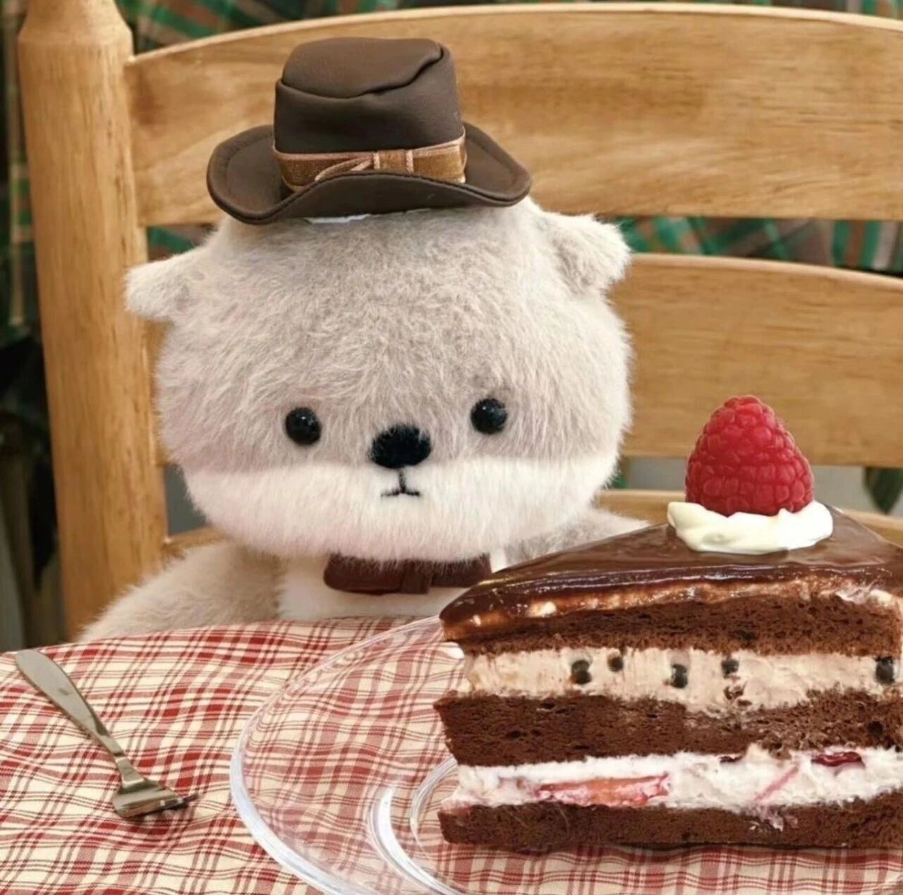 2天香桂花主播图片