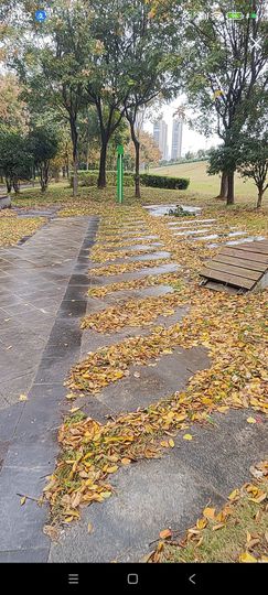 婷婷💕感恩有你陪伴的图片