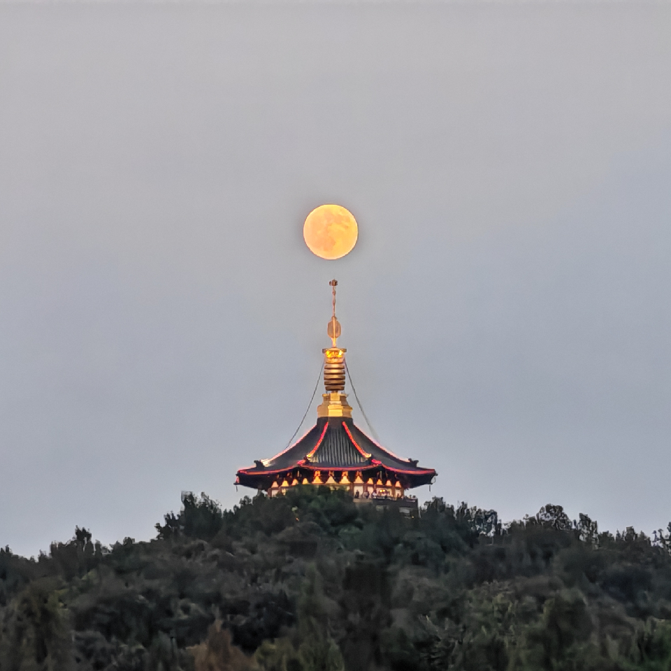 99人生如梦！海报