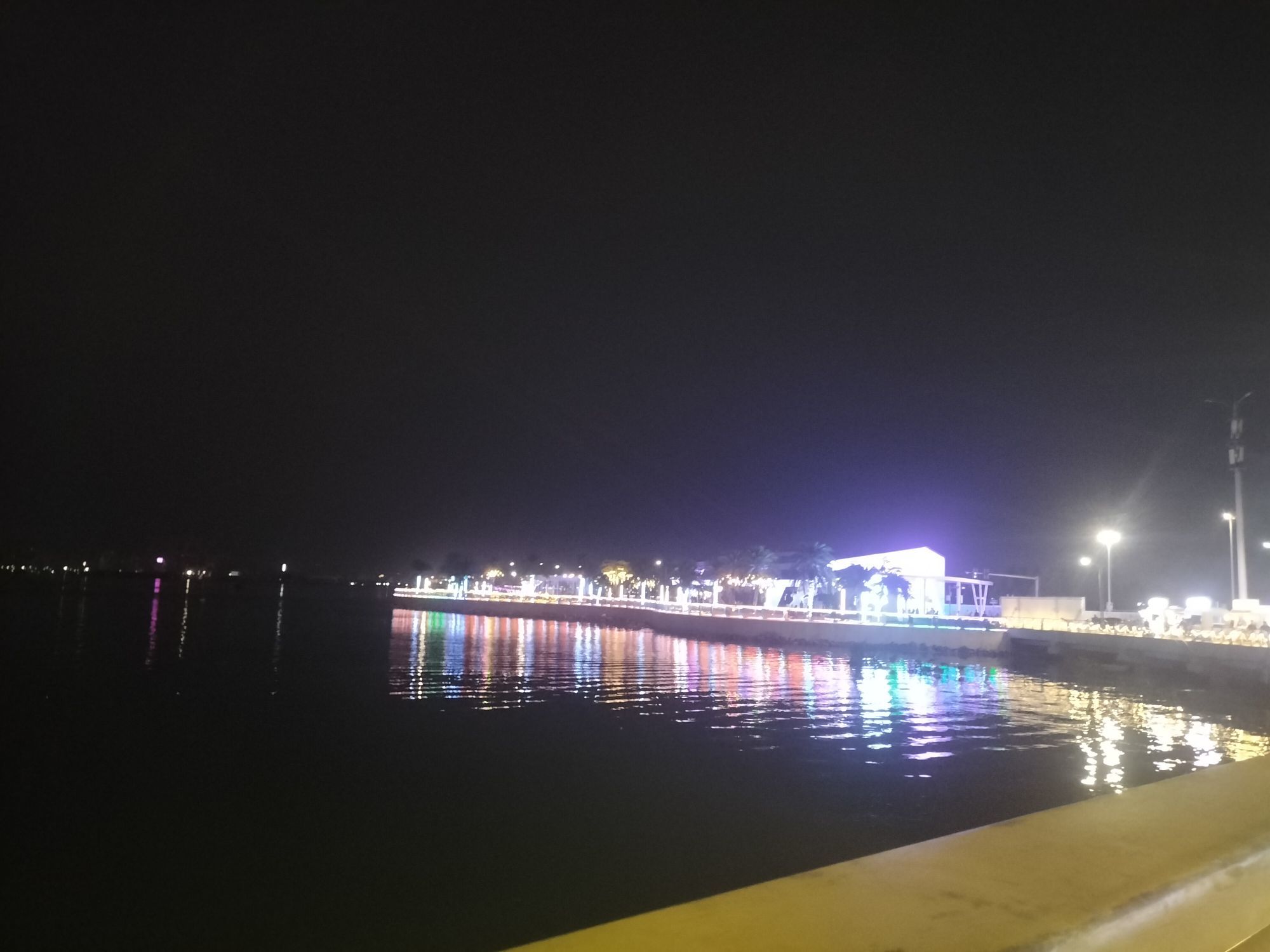 林某太坏了。主播图片