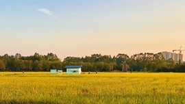 ゞ依人ゞ的图片