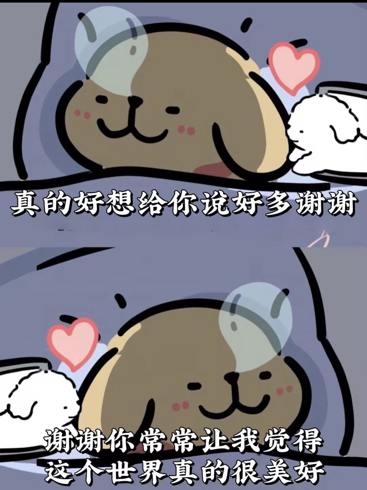 若初💐主播图片