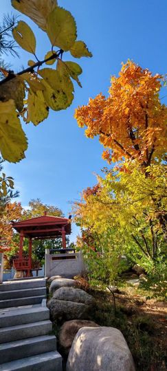 雪er，唱歌的图片