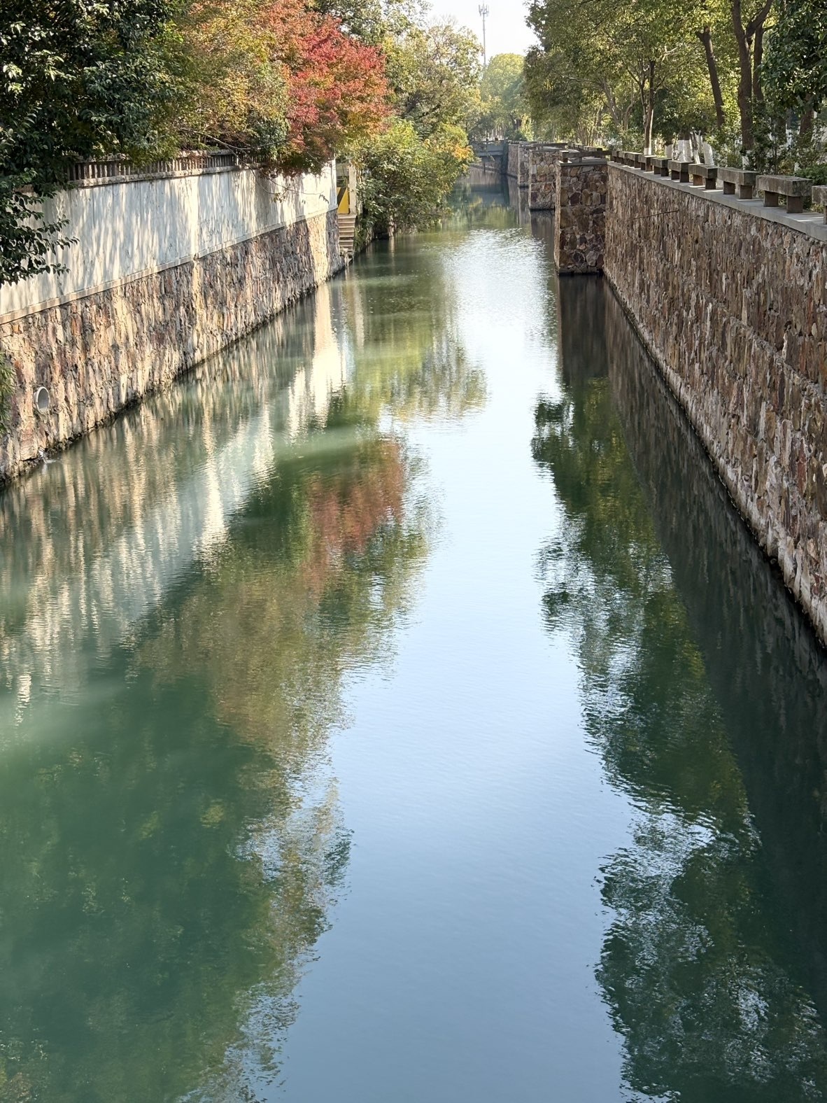 An然🎀主播图片