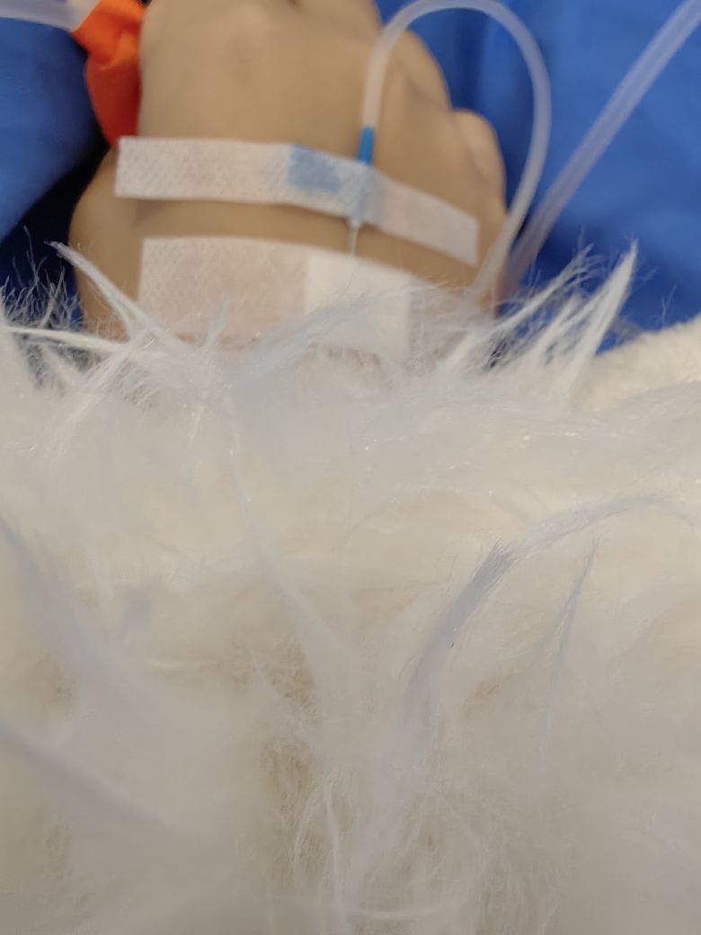 ?秦深深??用心唱的主播照片