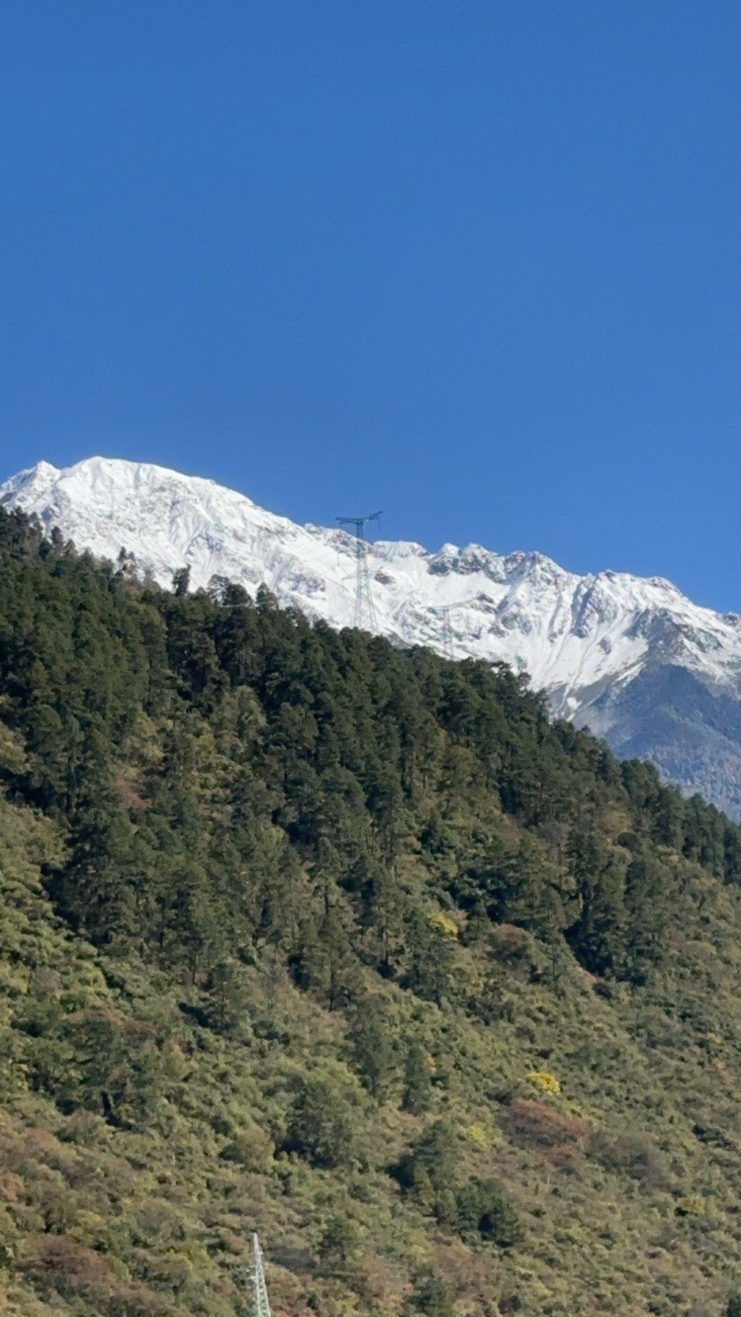 ╰❥丶一花一世界☂主播图片