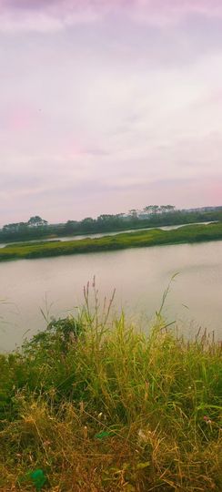 妞妞骑行茂名的图片