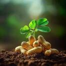 6090046dmnuz的头像