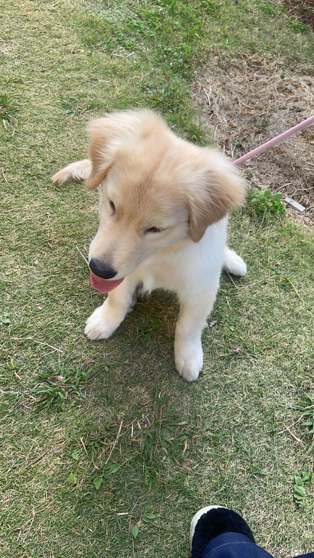 小可柔??主播圖片