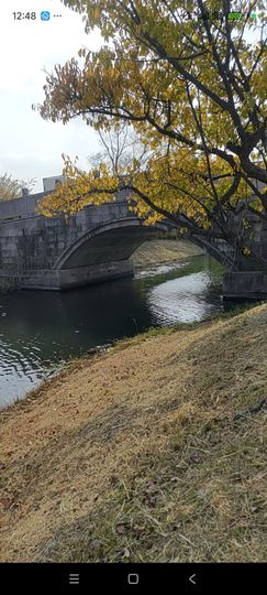 婷婷💕感恩有你陪伴的图片