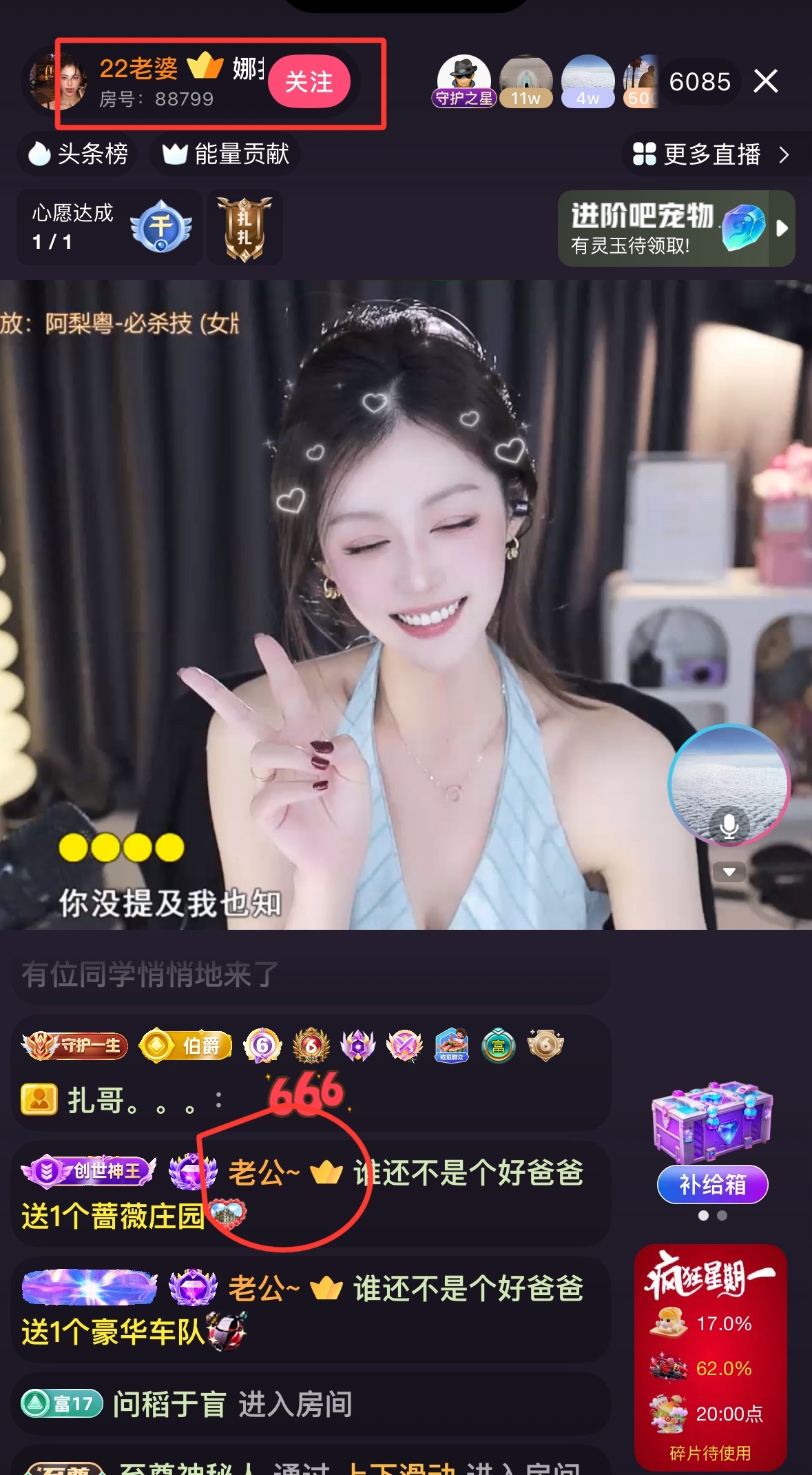 猫林新.7主播图片