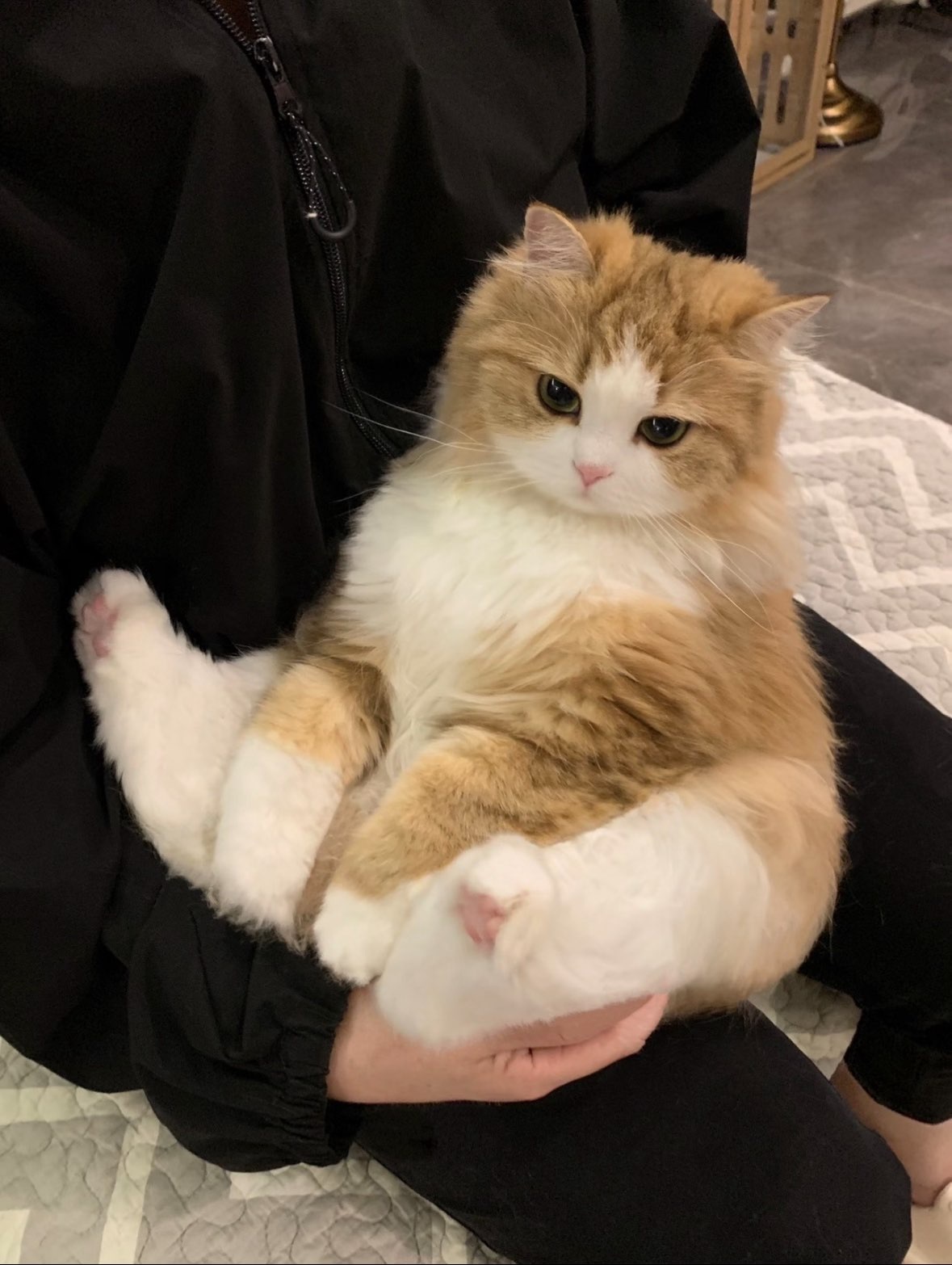 欣心🦄^主播图片