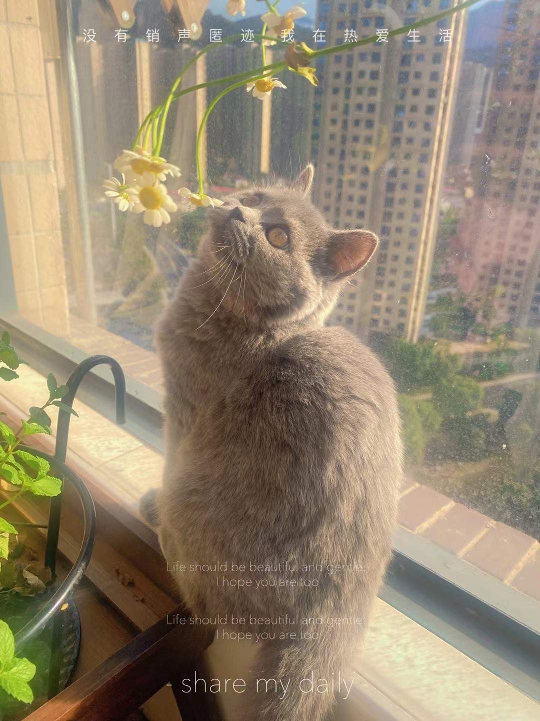 方儀??人間限量版的主播照片