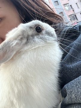 初雪🌞思钱想厚💰主播照片