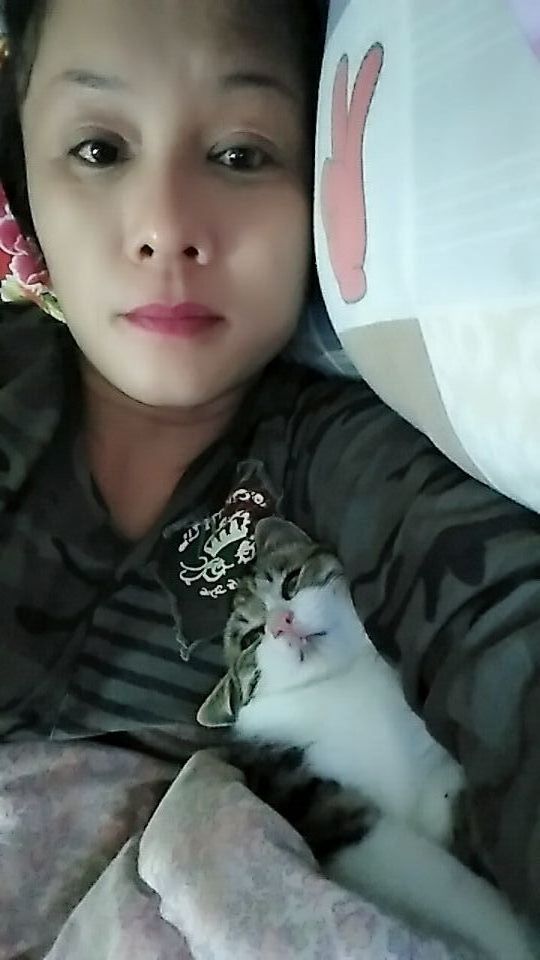 じ海鸥で的图片