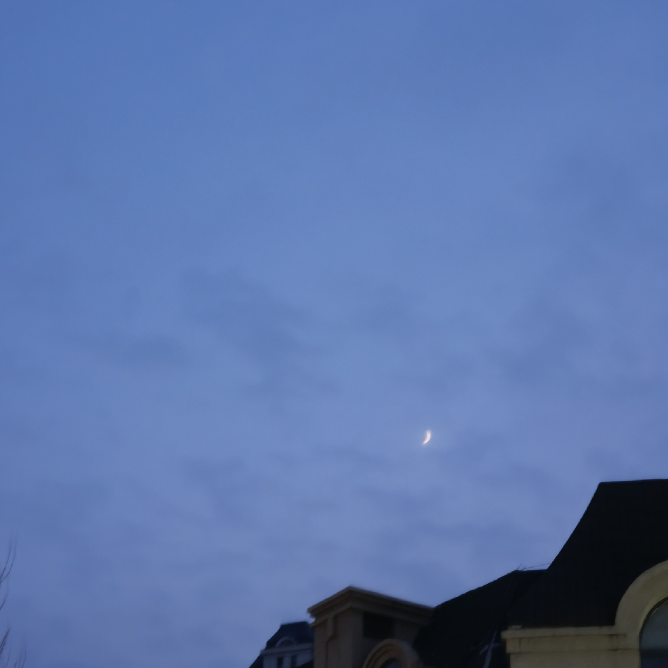 一只野生的咿咿~海报