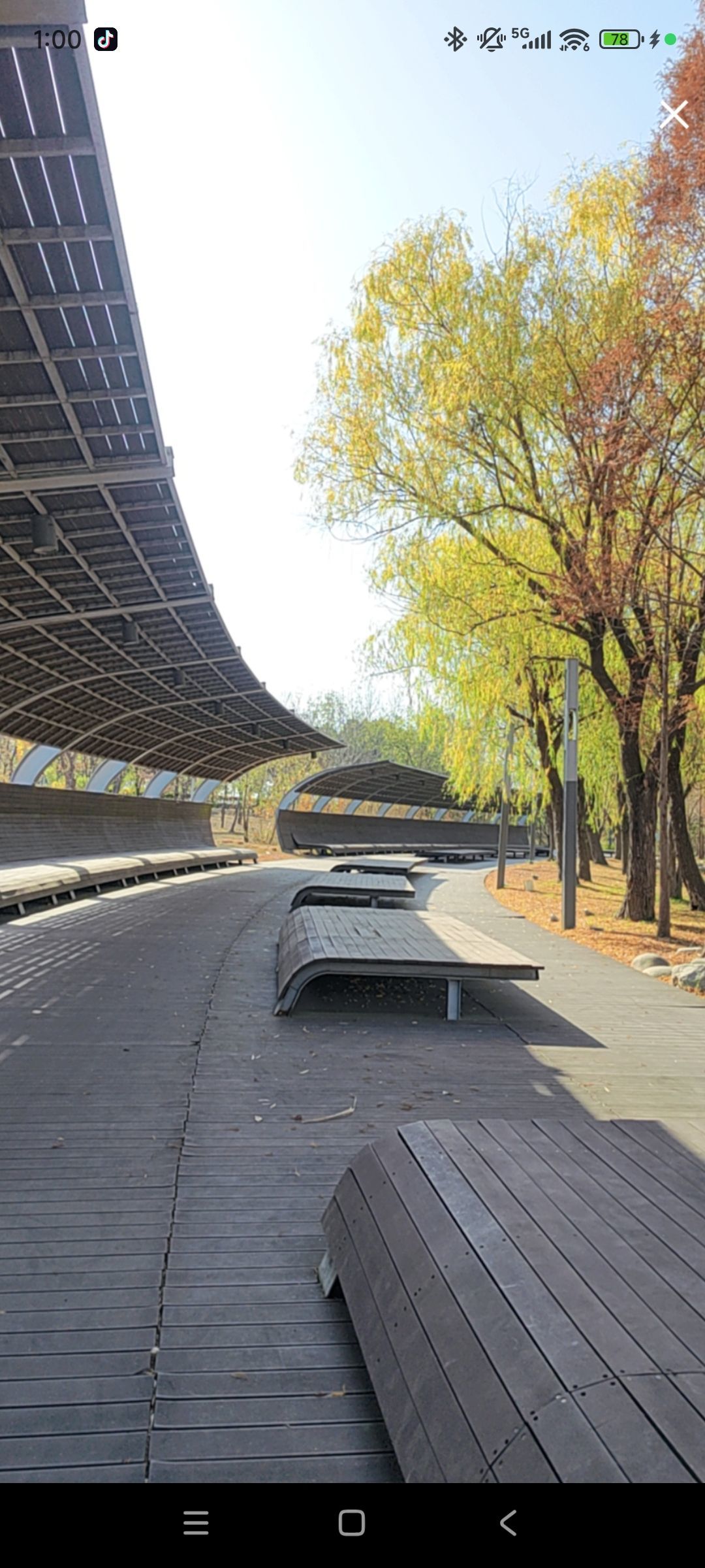 婷婷💕感恩有你陪伴主播图片