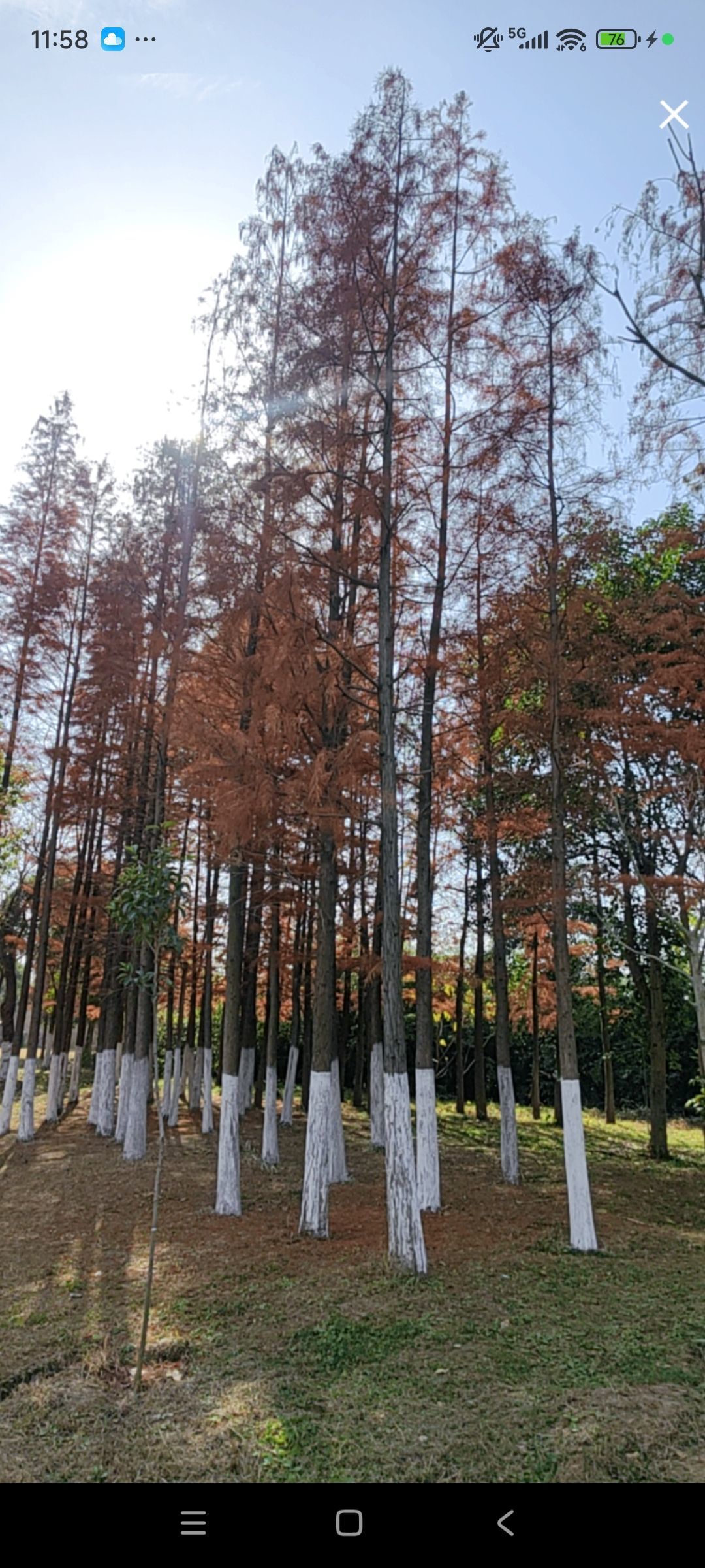 婷婷💕感恩有你陪伴主播图片