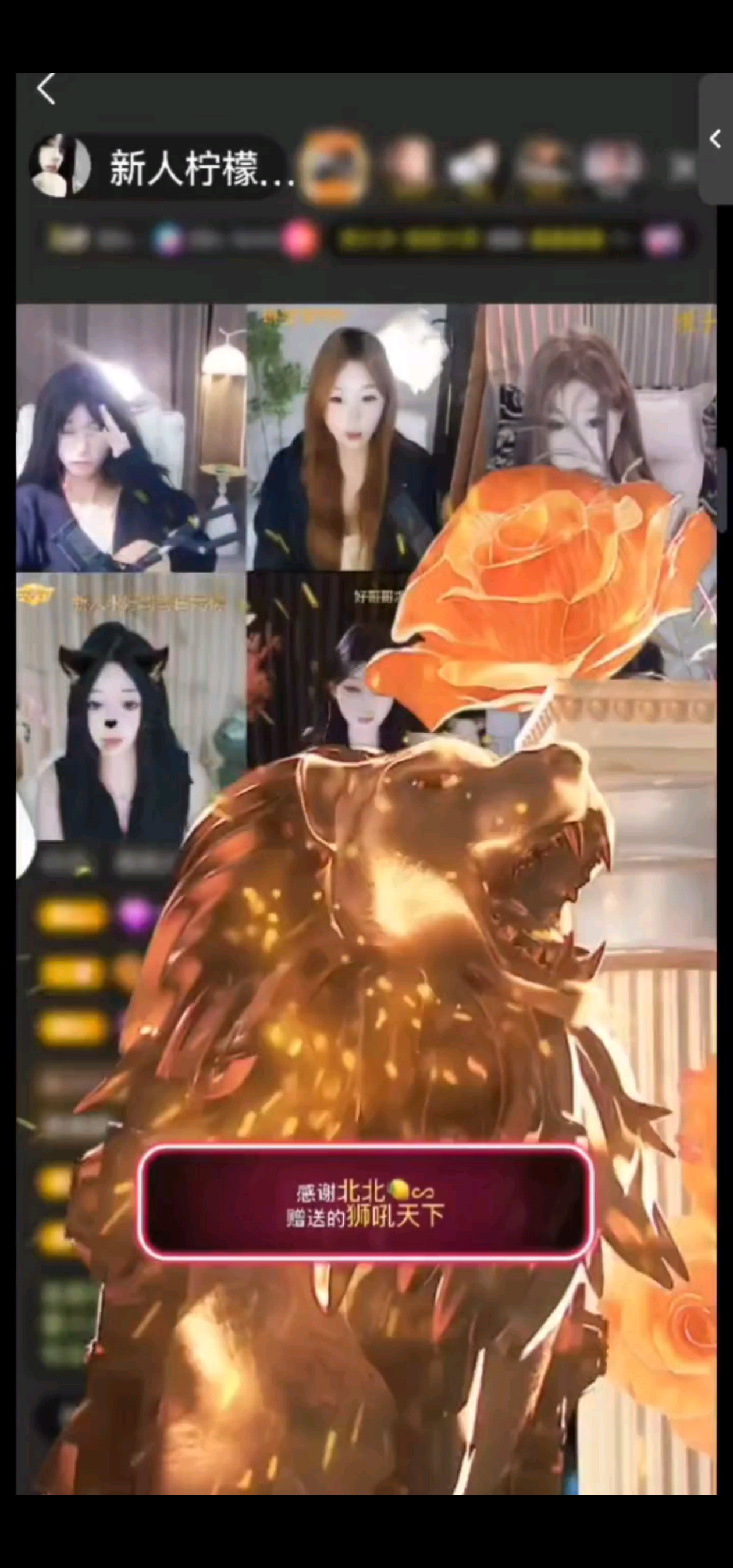 🫶谢谢我北北宝宝的狮