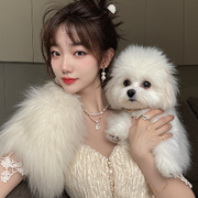 新人猫猫求偏爱