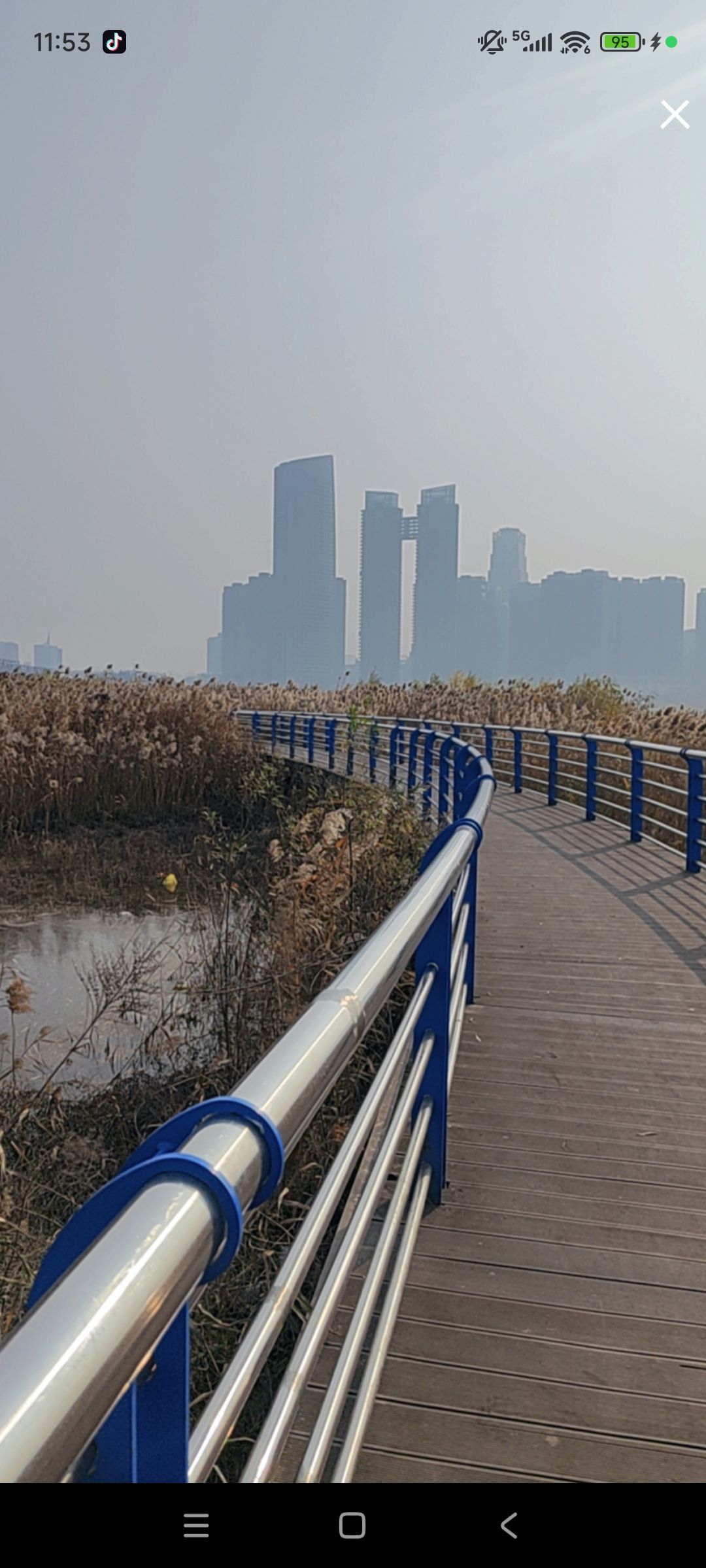 婷婷💕感恩有你陪伴主播图片