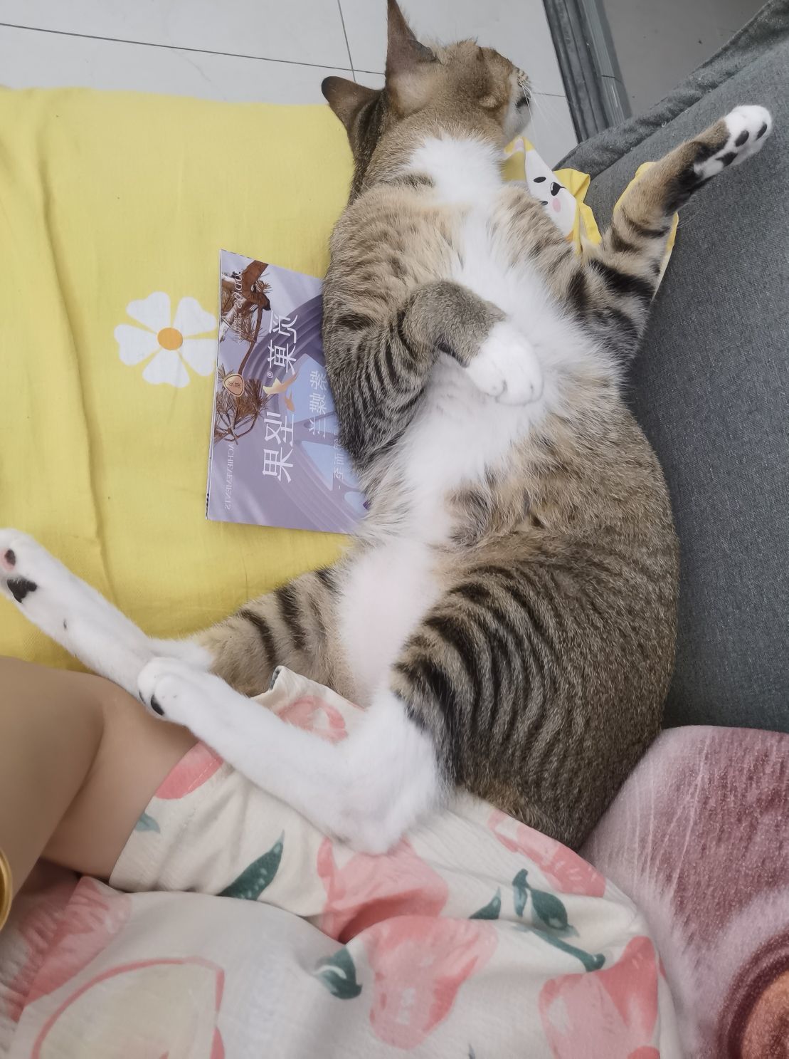 青杉??可愛迷人主播圖片