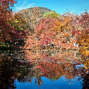 小机灵𓆩♡𓆪的头像