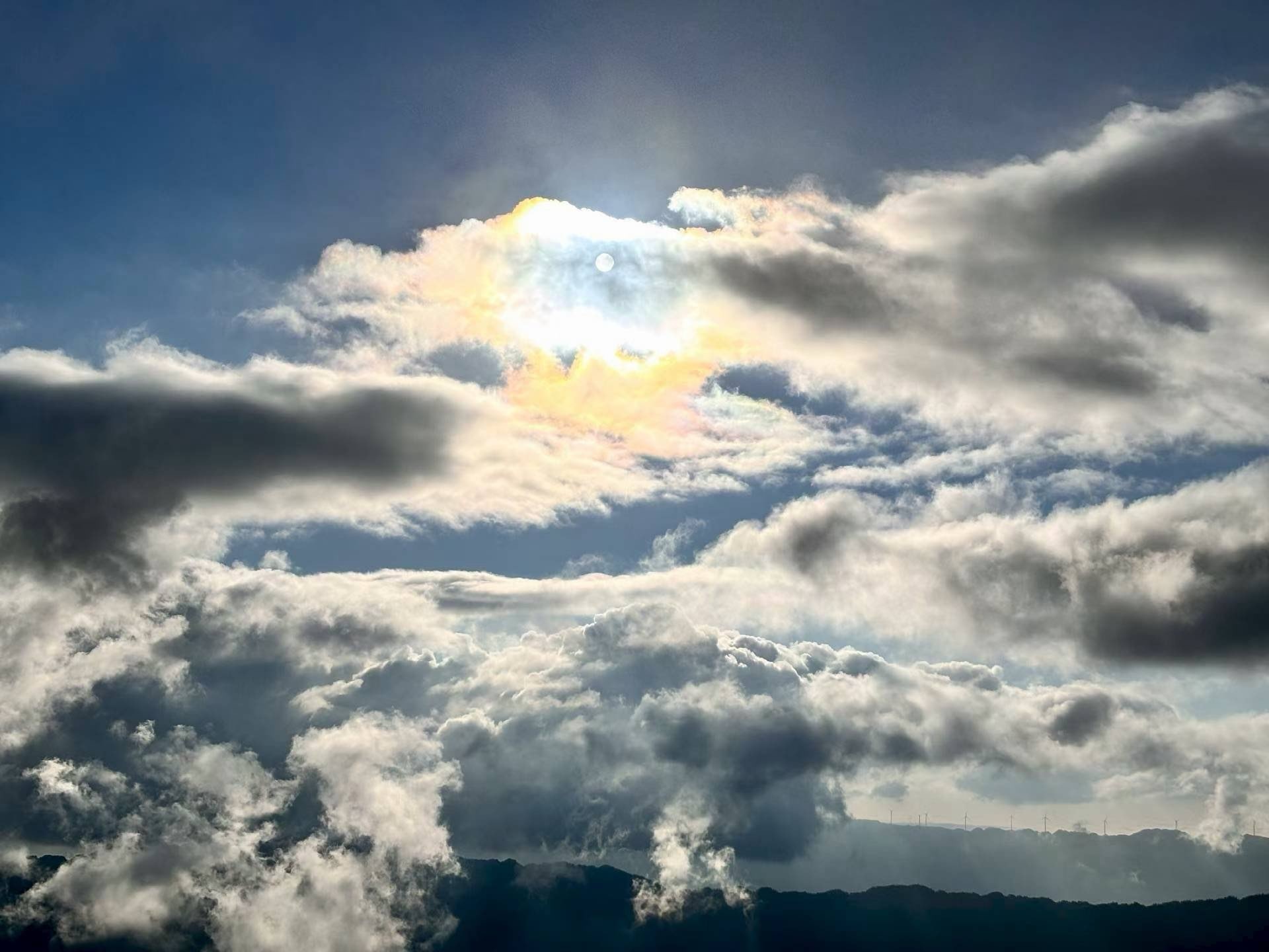 叮叮猫🐾求投喂主播图片