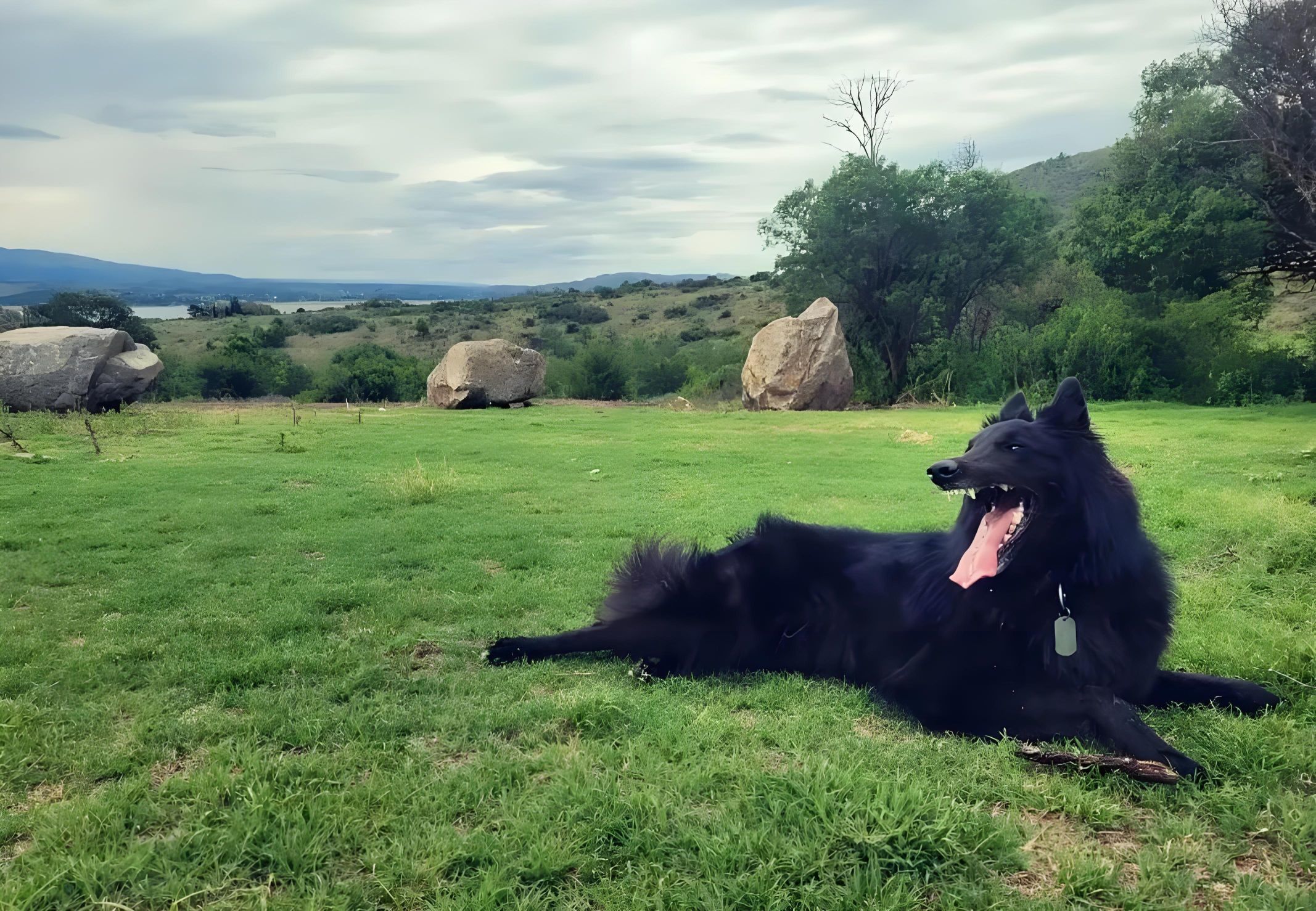 子默学长（八卦王子）的主播照片
