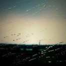 秋风扫落叶UYT的头像