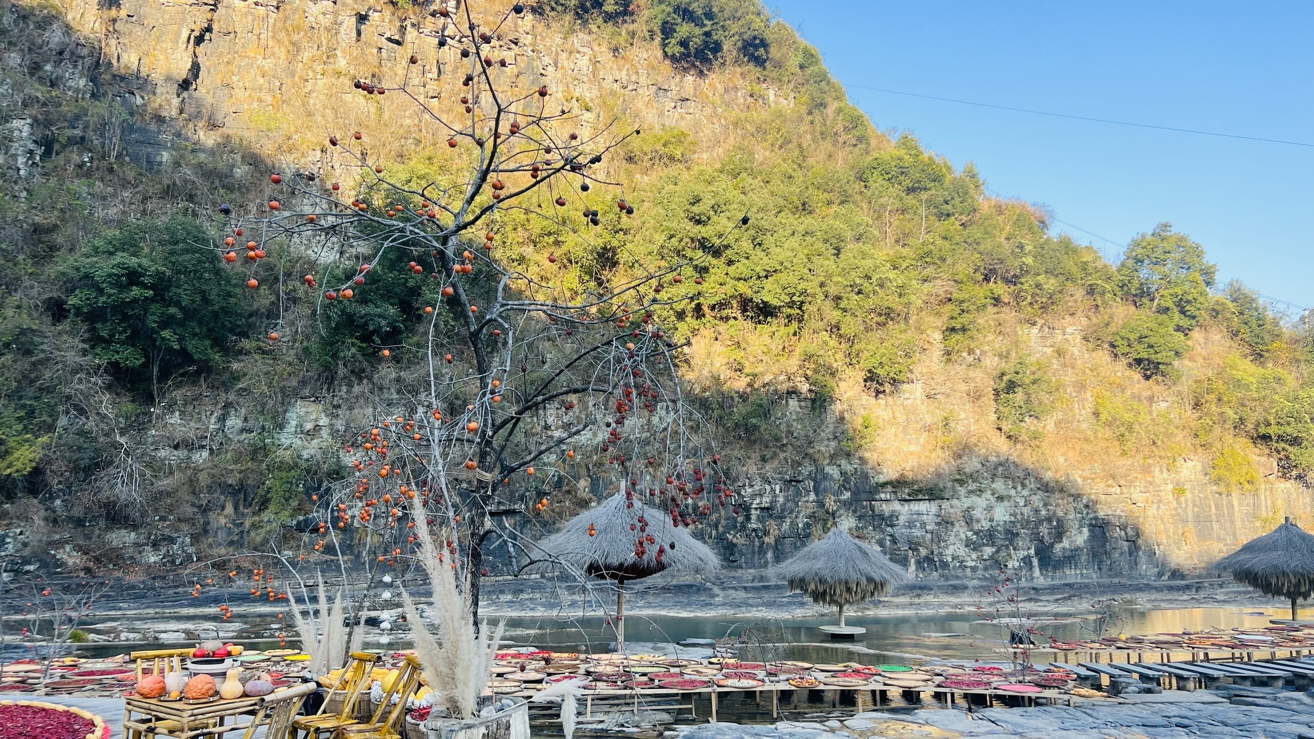 ☂客家甜心金牌代理☂主播图片