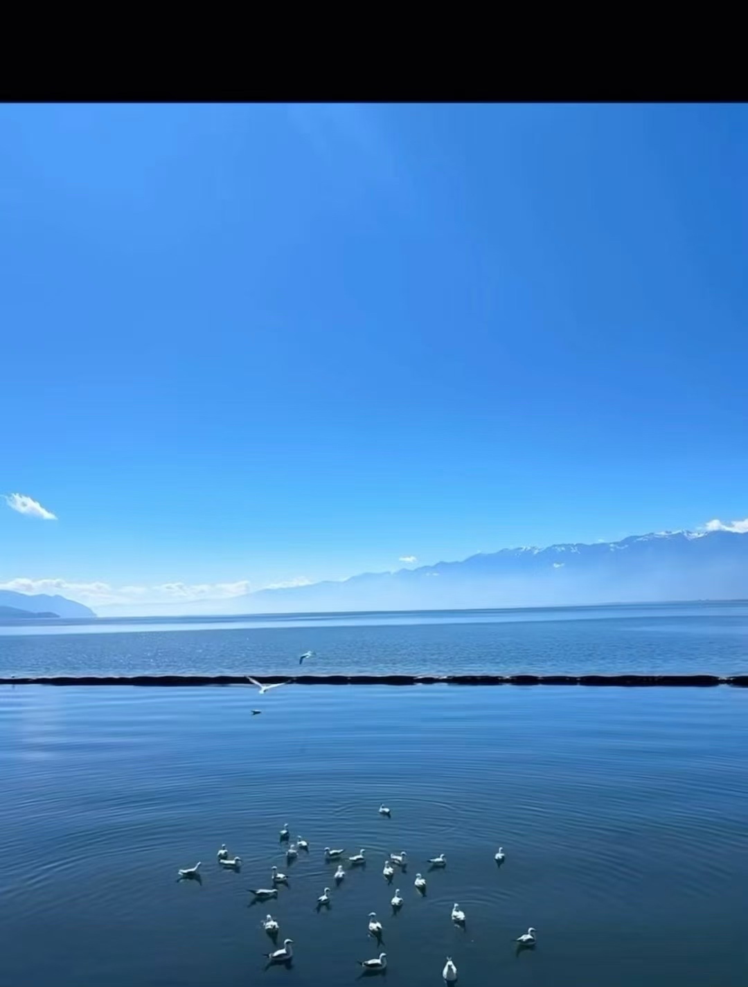 思佳贺心哥帝王主播图片